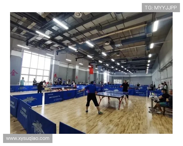 武汉乒乓球队的转型之路与深度解析乒乓球运动的未来发展